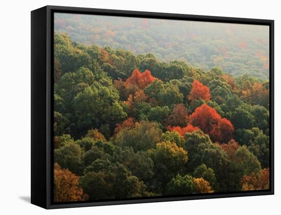 Autumn, Ozark-St. Francis National Forest, Arkansas, USA-Charles Gurche-Framed Stretched Canvas