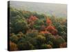 Autumn, Ozark-St. Francis National Forest, Arkansas, USA-Charles Gurche-Stretched Canvas