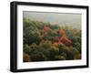 Autumn, Ozark-St. Francis National Forest, Arkansas, USA-Charles Gurche-Framed Premium Photographic Print