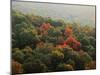 Autumn, Ozark-St. Francis National Forest, Arkansas, USA-Charles Gurche-Mounted Premium Photographic Print