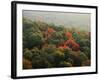 Autumn, Ozark-St. Francis National Forest, Arkansas, USA-Charles Gurche-Framed Photographic Print