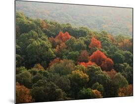 Autumn, Ozark-St. Francis National Forest, Arkansas, USA-Charles Gurche-Mounted Photographic Print