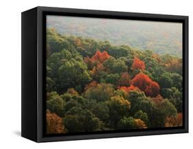 Autumn, Ozark-St. Francis National Forest, Arkansas, USA-Charles Gurche-Framed Stretched Canvas