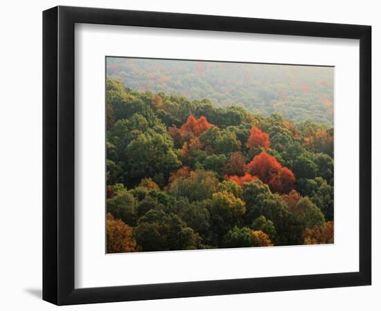 Autumn, Ozark-St. Francis National Forest, Arkansas, USA-Charles Gurche-Framed Photographic Print