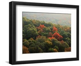 Autumn, Ozark-St. Francis National Forest, Arkansas, USA-Charles Gurche-Framed Photographic Print