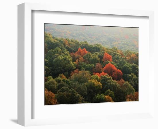 Autumn, Ozark-St. Francis National Forest, Arkansas, USA-Charles Gurche-Framed Photographic Print