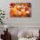 Autumn Paintography-Philippe Sainte-Laudy-Photographic Print displayed on a wall