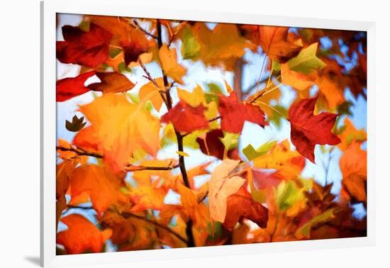 Autumn Paintography-Philippe Sainte-Laudy-Framed Photographic Print