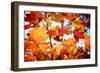 Autumn Paintography-Philippe Sainte-Laudy-Framed Photographic Print