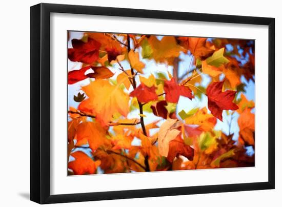 Autumn Paintography-Philippe Sainte-Laudy-Framed Photographic Print