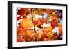 Autumn Paintography-Philippe Sainte-Laudy-Framed Photographic Print