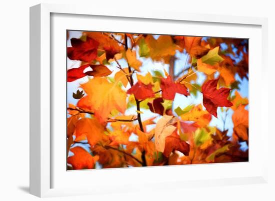 Autumn Paintography-Philippe Sainte-Laudy-Framed Photographic Print