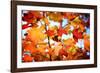 Autumn Paintography-Philippe Sainte-Laudy-Framed Photographic Print