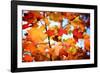 Autumn Paintography-Philippe Sainte-Laudy-Framed Photographic Print