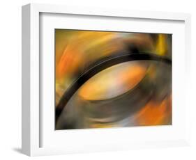 Autumn Palette-Ursula Abresch-Framed Photographic Print