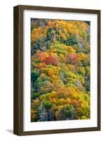 Autumn Palette-Steve Gadomski-Framed Photographic Print