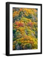 Autumn Palette-Steve Gadomski-Framed Photographic Print