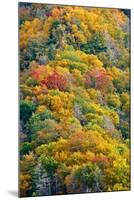 Autumn Palette-Steve Gadomski-Mounted Photographic Print