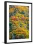 Autumn Palette-Steve Gadomski-Framed Photographic Print
