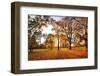 Autumn Panorama in Park-TTstudio-Framed Photographic Print