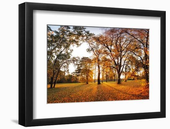 Autumn Panorama in Park-TTstudio-Framed Photographic Print