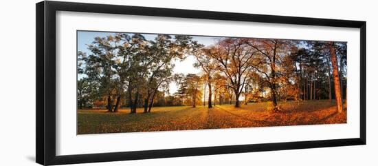 Autumn Panorama in Park-TTstudio-Framed Photographic Print