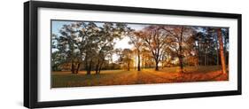 Autumn Panorama in Park-TTstudio-Framed Photographic Print