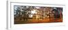 Autumn Panorama in Park-TTstudio-Framed Photographic Print