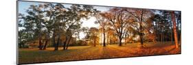 Autumn Panorama in Park-TTstudio-Mounted Photographic Print