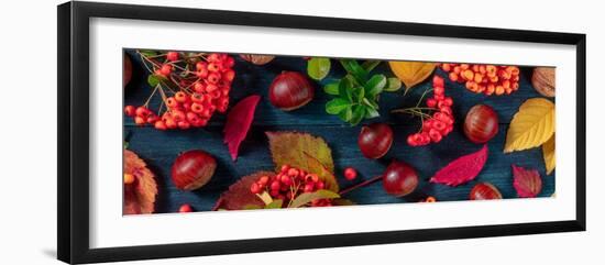 Autumn Panoramic Banner with Fall Leaves and Chestnuts, a Top Shot-Plateresca-Framed Photographic Print