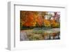 Autumn Park Sharon Woods Ohio-null-Framed Art Print