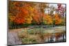 Autumn Park Sharon Woods Ohio-null-Mounted Art Print