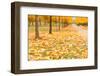 Autumn Park-maksheb-Framed Photographic Print