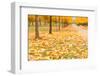 Autumn Park-maksheb-Framed Photographic Print