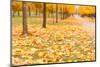 Autumn Park-maksheb-Mounted Photographic Print