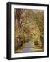 Autumn Passage 2-Jai Johnson-Framed Photographic Print