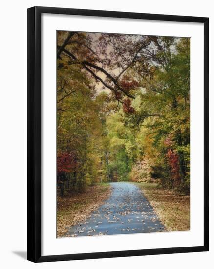 Autumn Passage 3-Jai Johnson-Framed Photographic Print