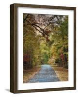 Autumn Passage 3-Jai Johnson-Framed Photographic Print