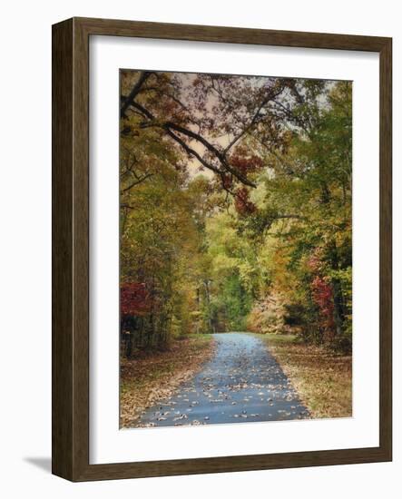 Autumn Passage 3-Jai Johnson-Framed Photographic Print