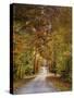 Autumn Passage 4-Jai Johnson-Stretched Canvas