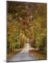 Autumn Passage 4-Jai Johnson-Mounted Photographic Print