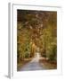 Autumn Passage 4-Jai Johnson-Framed Photographic Print