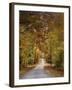 Autumn Passage 4-Jai Johnson-Framed Photographic Print