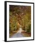 Autumn Passage 4-Jai Johnson-Framed Photographic Print