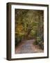 Autumn Passage 5-Jai Johnson-Framed Photographic Print