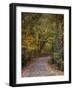 Autumn Passage 5-Jai Johnson-Framed Photographic Print