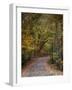 Autumn Passage 5-Jai Johnson-Framed Photographic Print