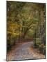 Autumn Passage 5-Jai Johnson-Mounted Photographic Print