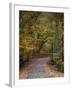 Autumn Passage 5-Jai Johnson-Framed Photographic Print