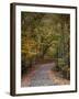 Autumn Passage 5-Jai Johnson-Framed Photographic Print